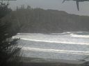 ./images/calvert/beach/20210115/beach20210115_114002.jpg