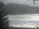 ./images/calvert/beach/20210115/beach20210115_140501.jpg