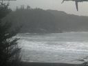 ./images/calvert/beach/20210117/beach20210117_160002.jpg