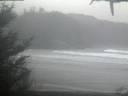 ./images/calvert/beach/20210119/beach20210119_084503.jpg