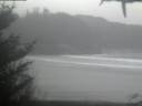 ./images/calvert/beach/20210119/beach20210119_090502.jpg