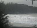 ./images/calvert/beach/20210123/beach20210123_095003.jpg