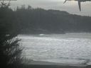 ./images/calvert/beach/20210123/beach20210123_095502.jpg