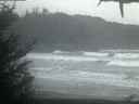 ./images/calvert/beach/20210124/beach20210124_081003.jpg
