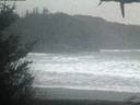 ./images/calvert/beach/20210124/beach20210124_081503.jpg