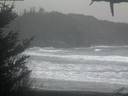 ./images/calvert/beach/20210124/beach20210124_082503.jpg