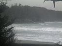 ./images/calvert/beach/20210124/beach20210124_083502.jpg