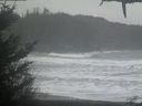 ./images/calvert/beach/20210124/beach20210124_085002.jpg