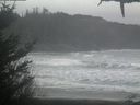 ./images/calvert/beach/20210124/beach20210124_090501.jpg