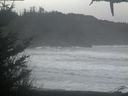./images/calvert/beach/20210124/beach20210124_091002.jpg