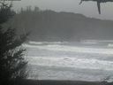 ./images/calvert/beach/20210124/beach20210124_094502.jpg