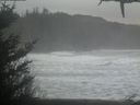 ./images/calvert/beach/20210124/beach20210124_100002.jpg