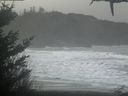 ./images/calvert/beach/20210124/beach20210124_100501.jpg