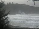 ./images/calvert/beach/20210124/beach20210124_104503.jpg