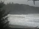 ./images/calvert/beach/20210124/beach20210124_105002.jpg