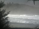 ./images/calvert/beach/20210124/beach20210124_111502.jpg
