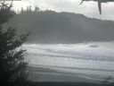 ./images/calvert/beach/20210124/beach20210124_114502.jpg