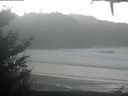 ./images/calvert/beach/20210124/beach20210124_121002.jpg