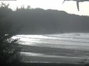 ./images/calvert/beach/20210124/beach20210124_131002.jpg