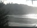 ./images/calvert/beach/20210124/beach20210124_144003.jpg