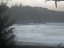 ./images/calvert/beach/20210125/beach20210125_085503.jpg