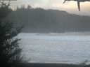 ./images/calvert/beach/20210125/beach20210125_090502.jpg