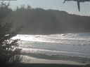 ./images/calvert/beach/20210125/beach20210125_125003.jpg