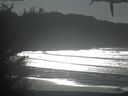 ./images/calvert/beach/20210125/beach20210125_133502.jpg