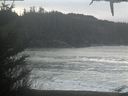 ./images/calvert/beach/20210126/beach20210126_115502.jpg