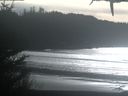 ./images/calvert/beach/20210126/beach20210126_141002.jpg