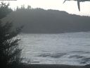 ./images/calvert/beach/20210127/beach20210127_111001.jpg