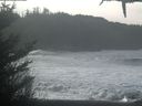 ./images/calvert/beach/20210127/beach20210127_112002.jpg