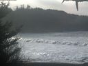 ./images/calvert/beach/20210127/beach20210127_115002.jpg