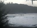 ./images/calvert/beach/20210127/beach20210127_120502.jpg