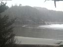 ./images/calvert/beach/20210127/beach20210127_163502.jpg