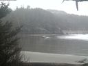 ./images/calvert/beach/20210127/beach20210127_165002.jpg