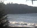 ./images/calvert/beach/20210128/beach20210128_120003.jpg