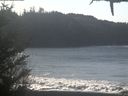 ./images/calvert/beach/20210128/beach20210128_122502.jpg