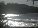 ./images/calvert/beach/20210128/beach20210128_131502.jpg