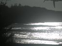 ./images/calvert/beach/20210128/beach20210128_135002.jpg