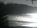 ./images/calvert/beach/20210128/beach20210128_141003.jpg