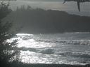 ./images/calvert/beach/20210130/beach20210130_125502.jpg