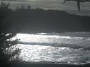 ./images/calvert/beach/20210130/beach20210130_130503.jpg