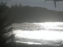 ./images/calvert/beach/20210130/beach20210130_135001.jpg
