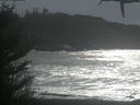 ./images/calvert/beach/20210130/beach20210130_135501.jpg