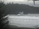 ./images/calvert/beach/20210131/beach20210131_121503.jpg