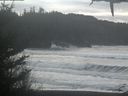 ./images/calvert/beach/20210131/beach20210131_125003.jpg