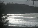 ./images/calvert/beach/20210131/beach20210131_131501.jpg