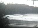 ./images/calvert/beach/20210203/beach20210203_075002.jpg