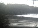 ./images/calvert/beach/20210203/beach20210203_092503.jpg